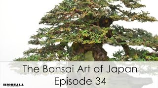 The Bonsai Art of Japan  Episode 34 [upl. by Ahserak]