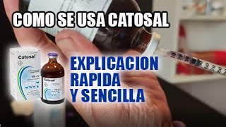 Como se usa catosal en gallos dosis catosal canarios aves pajaros gallinas gallos [upl. by Ssalguod]