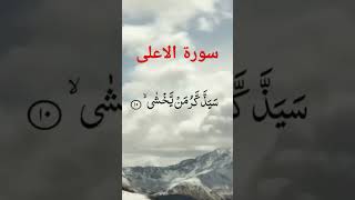 سورۃ الاعلی Surah AlAla [upl. by Anaerb]