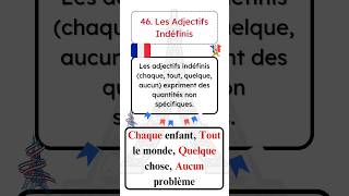 Les Adjectifs Indéfinis grammaire apprendrelefrançais apprendrelefrancais [upl. by Ashely]