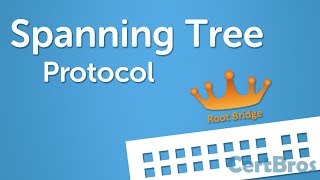 Spanning Tree Protocol Explained  Step by Step [upl. by Barmen]