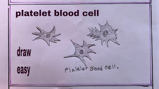 how to draw platelet blood cellplatelet blood cell drawing [upl. by Clareta]