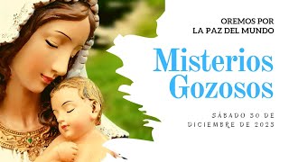 Rosario de Hoy SÁBADO 30 de DICIEMBRE  Misterios GOZOSOS  Wilson Tamayo [upl. by Ailis970]