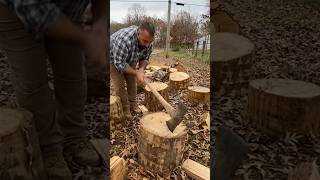 Splitting wood with an axe 61 splittingfirewood [upl. by Ditmore]