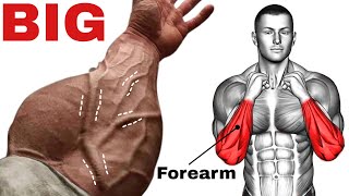 Top 7 Best Forearm Exercises to Make Big Forearms  ree workout [upl. by Alya612]