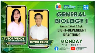 LightDependent Reactions  General Biology 1  Quarter 24 Week 3 [upl. by Tnert]