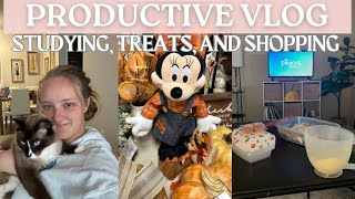 A Productive Sunday Vlog  Working On My Professional Certificate Making Snacks and Shopping [upl. by Oyr707]