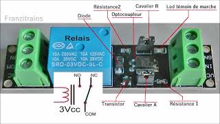 Le module optocoupleur à relais de déclenchement [upl. by Juster]