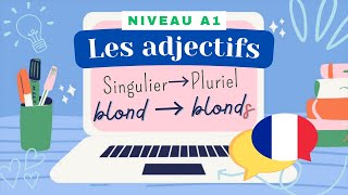 Les adjectifs le singulier et le pluriel  Leçon de français Niveau A1  Cours de grammaire [upl. by Ellek]