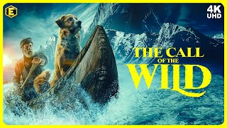 The Call of the Wild 2020  Movie Explained in Hindi  फिल्म हिंदी में  4K VIDEO [upl. by Ecam639]