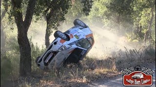 Rallye du Var 2017  Day 3 CRASH [upl. by Anair640]