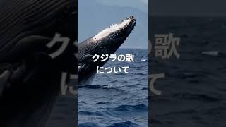 クジラの歌について🐋 歌 クジラ 雑学 トレンド [upl. by Pendergast310]