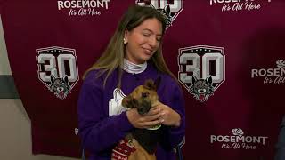 Harleigh Garcia from Border Tails Rescue Interview [upl. by Fiden]