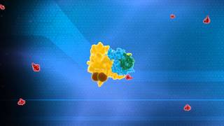 Ubiquitin System Animation  Nobel Prize in Chemistry 2004 Technion [upl. by Randi]