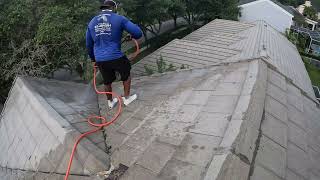 Steep Concrete Tile Roof Cleaning amp House Washing softwash [upl. by Horbal189]