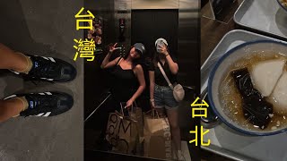 5 days in taiwan vlog ☀️ what to eat shi fen  jiu fen day trip taipei night markets 🥡 [upl. by Rina]