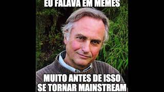 memes sobre memes [upl. by Acenahs958]