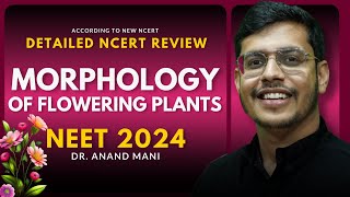 Morphology Of Flowering Plants In One Shot  Detailed NCERT Review  NEET 2024  Dr Anand Mani [upl. by Estele]