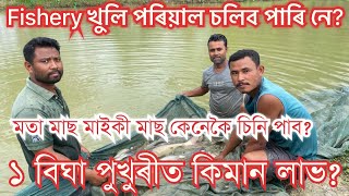 ১ বিঘা পুখুৰীত মাছ পুহিলে কিমান লাভ IIMash Palon॥HOW TO START FISH FARMING॥Fishery Loan॥Meen palon [upl. by Eek293]