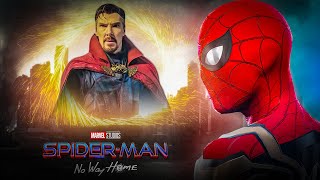 Spiderman No Way Home Full Movie in Hindi Dubbed  Tom Holland Zendaya  HD Facts amp Review [upl. by Naimaj]