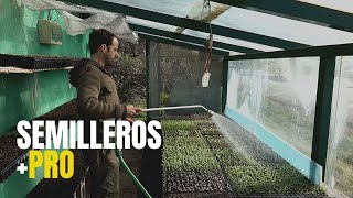 SEMILLEROS  PRO algunos TIPS que funcionan [upl. by Initirb]