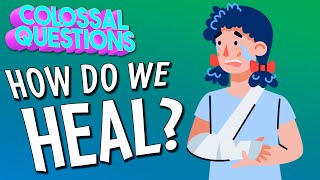 How Do We Heal  COLOSSAL QUESTIONS [upl. by Lerner]