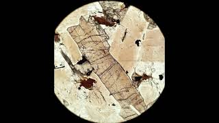 Orthopyroxene tutorial Optical mineralogy [upl. by Cissy]