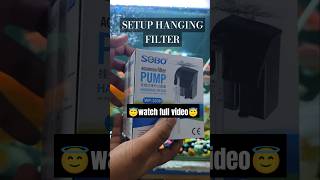 Setup Hanging Filter For 1FT Tank shorts ytshort filter fish [upl. by Epner843]