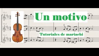 Un motivo Violin [upl. by Amsa]