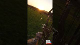 slowmotion bowhunting wild boars  Far North NZ hogs [upl. by Akihsar]