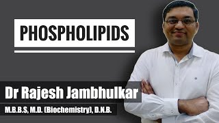 Phospholipids [upl. by Neelat607]