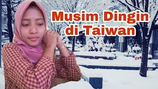 Musim Dingin di Taiwan Apakah Harus Bekerja Seperti Biasa [upl. by Soulier]