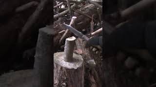 Old School Kabar Becker BK7 knifereview bushcraft chopping shorts [upl. by Ahsenad991]