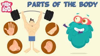 Parts Of The Body  The Dr Binocs Show  Learn Videos For Kids [upl. by Three]