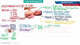 Neonatología  Convulsion neonatal [upl. by Airtemak]