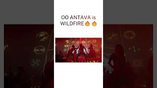 Sreeleelas KISSIK is FIRE🔥  but Samanthas OO ANTAVA is WILDFIRE🔥🔥 [upl. by Lansing]