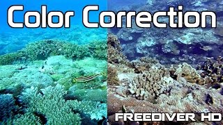 Underwater Color Correction in Sony Vegas  GoPro Protune [upl. by Beckerman824]