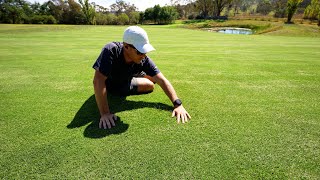 A Day on my Backyard Golf Course [upl. by Knowlton]