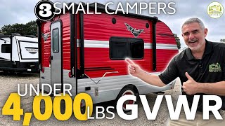 Small Campers Under 4000lbs GVWR  2024 Models [upl. by Yardley]