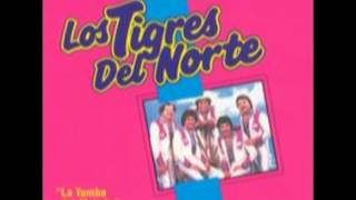 Carta AbiertaLos Tigres del Norte Album La Tumba del Mojado Año 1984 [upl. by Nnaillij]