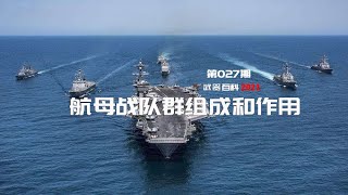 航空母舰战斗群都有哪些军舰？分别是干什么用的？Carrier strike group composition and how it work [upl. by Ivy]