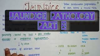 Jaundice pathogenesis types complicationsinvestigation management treatment  PART 2 [upl. by Uel]