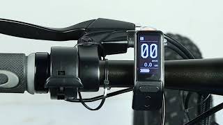 LCD SW102 Display Available for Electric Bicycle Bafang Motor [upl. by Kendal]