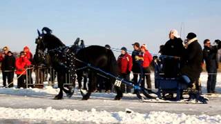 Friese paarden en arreslee op het IJsselmeer te Hindeloopen op zaterdag 11 februari 2012 [upl. by Ettelohcin]