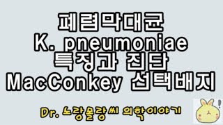 MacConkey agar plate맥콘키 선택배지와 폐렴막대균klebsiella pneumoniae 특징과 진단원리 [upl. by Lamee]