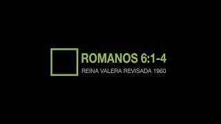 Romanos 614  BibliaTrack [upl. by Bendicta717]