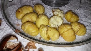 CASTAGNE COTTE AL MICROONDE IN 5 MINUTI [upl. by Beka]