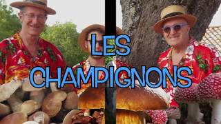 LES CHAMPIGNONS quotIN VINO JAZZ BANDquot [upl. by Salena]