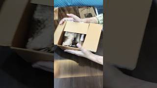 Smytten haulfree trial products smytten unboxing 6trial points products shorts shortvideo short [upl. by Airun580]