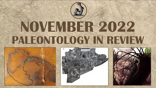 November 2022 Paleontology in Review [upl. by Clute]